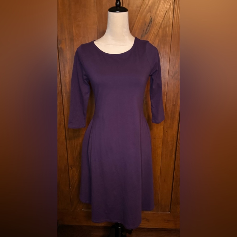 Great Purple Plum Women's A Line Dress